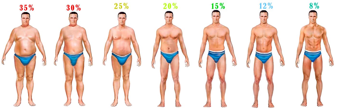 kuidas leida keha rasva protsendi kaotust
